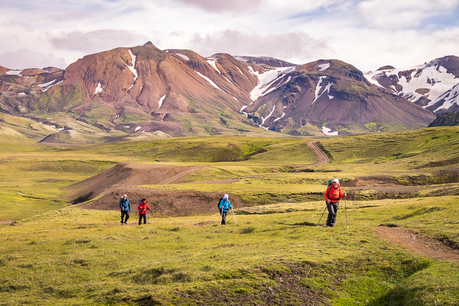 Hiking through green vegetation on Day 3 - Laugavegur Trail - Icelandic Highlands