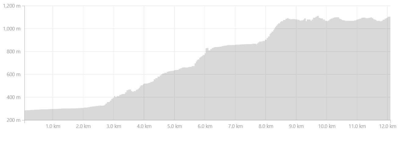 Altitude profile of hike from Þórsmörk to Fimmvörðuháls - Laugavegur Fimmvörðuháls Combo Trek - from Strava