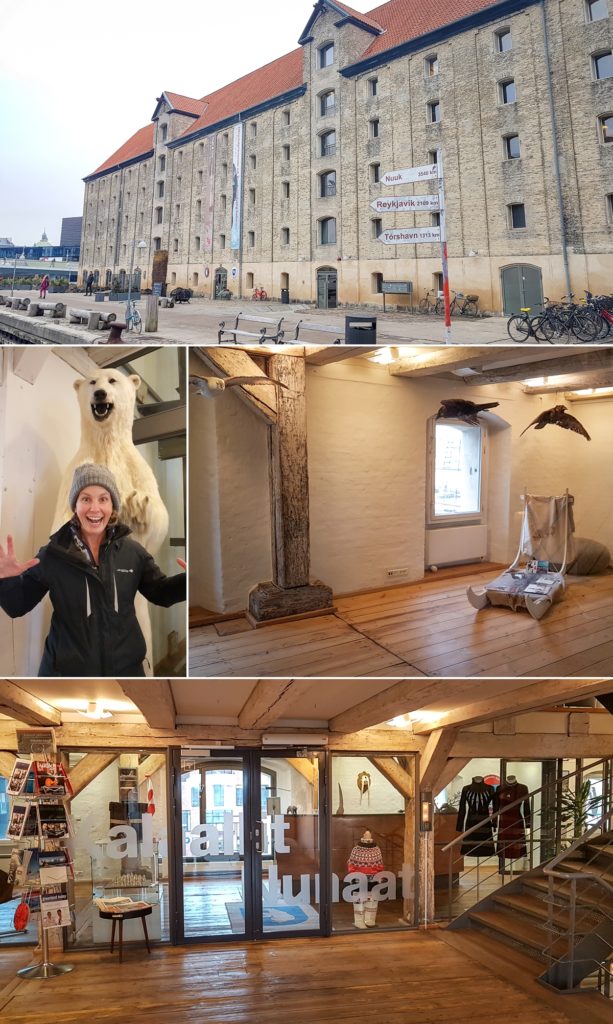 Images from our visit to the Visit Greenland offices include the amazing building, a polar bear, dog sled and other traditional Greenlandic items