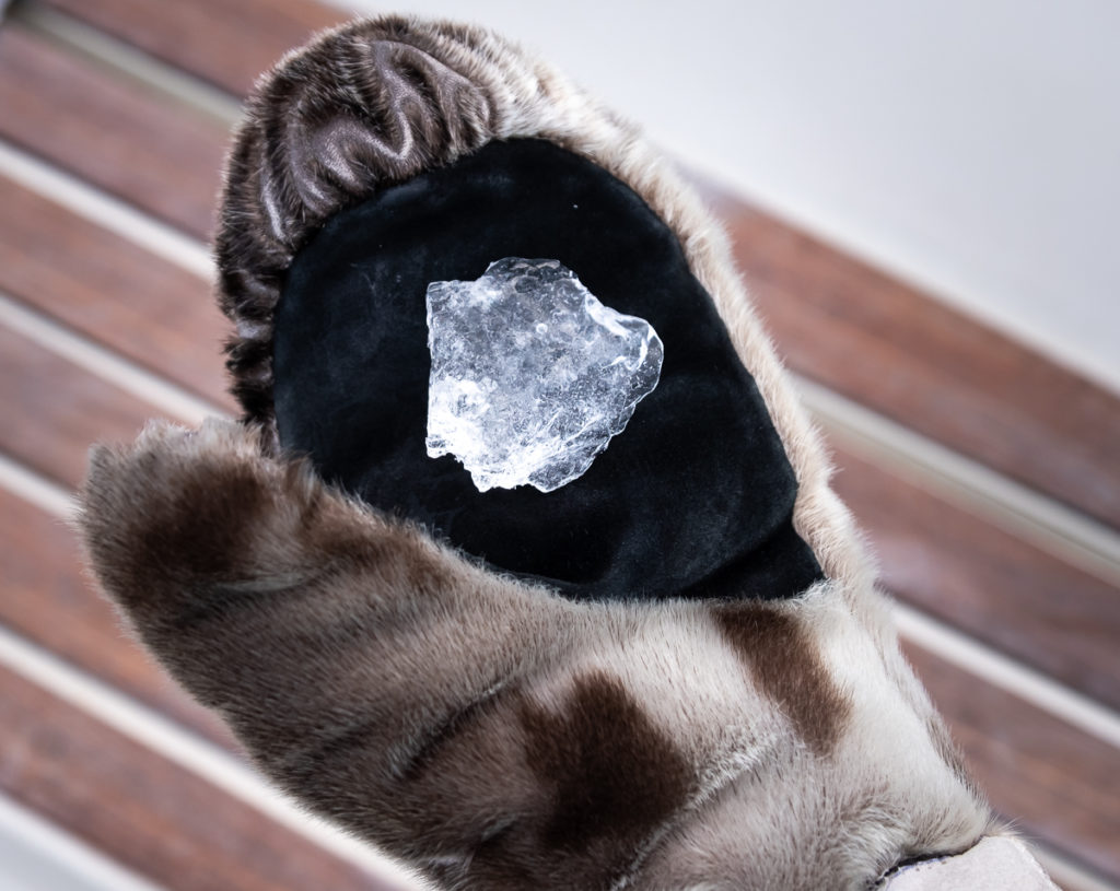 pure ice in a sealskin glove 