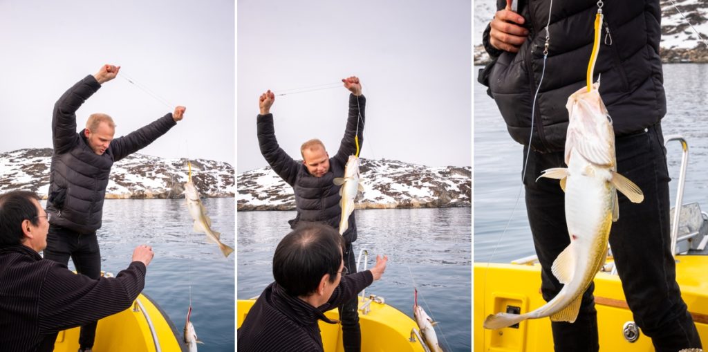 Catching cod on a Nuuk Fjord trip - West Greenland