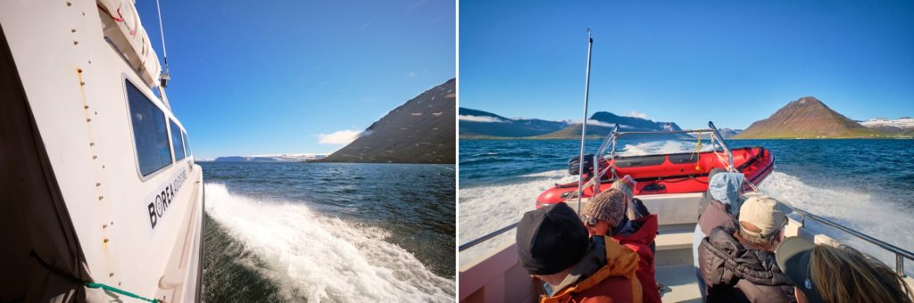 Views from the Borea Adventures boat transfer from Ísafjörður to Veiðileysufjörður - Hornstrandir - Iceland