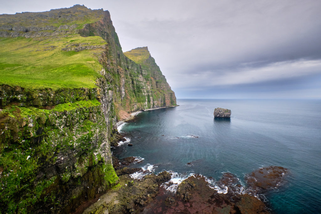 Bird cliffs at Kirfi near Hornvik - Hornstrandir - Iceland