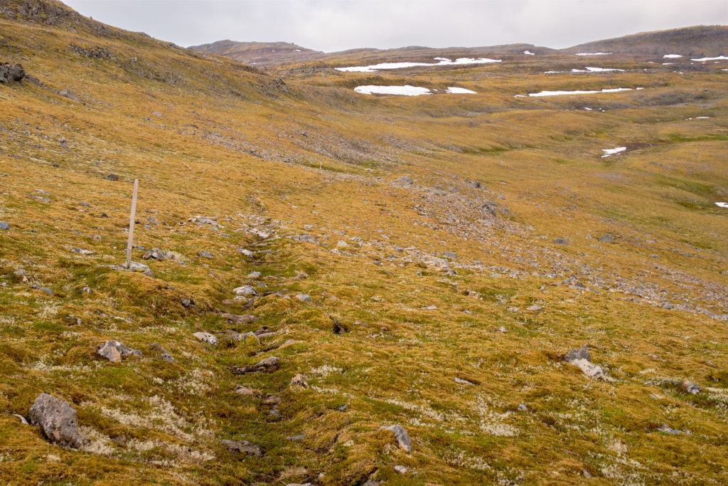 Trail towards the pass from Hornbjargsviti to Hornvik - Hornstrandir -Iceland