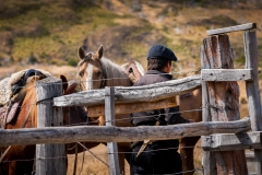 2015-Torres-del-Paine-1010