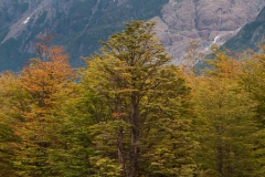 2015-Torres-del-Paine-1039