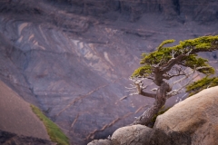 2015-Torres-del-Paine-1282