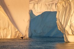 2019-Ilulissat-midnight-sailing-DSCF3366-Lisa-Germany