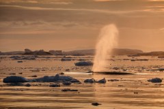 2019-Ilulissat-midnight-sailing-DSCF5413-Lisa-Germany