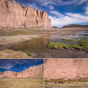Bofadel - Bolivian Altiplano