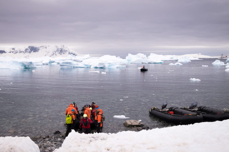Landing at Cuverville Island