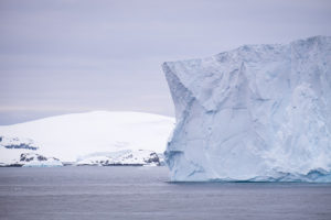 Tabular Icebergs - Antarctic Peninsula
