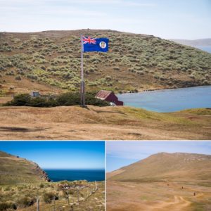 West Point Island - Falkland Islands