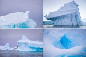 Icebergs around Cierva Cove - Antarctica