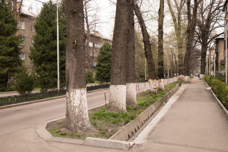 Walking Tours of Almaty – Kazakhstan