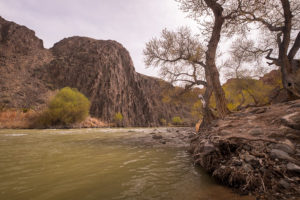 Charyn River - Charyn Canyon - Kazakhstan