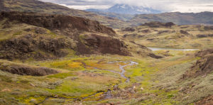 View of a green valley, sheep and mountains from the pass between Tasiusaq and Qassiarsuk - South Greenland