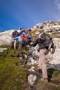 My trekking companions climbing up the very steep slope ahead of me