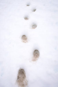 Dirty bootprints in pristine white snow