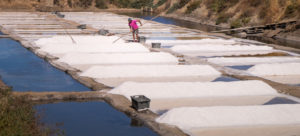 Marnoto harvesting salt - Salinas de Castro Marim - Algarve - Portugal