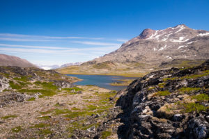 A lake trapped in the plateau that you reach on the Lake and Plateau Hike near Igaliku in South Greenland