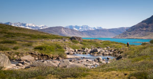 A river leading down to the Igaliku Fjord from the Lake and Plateau hike in South Greenland