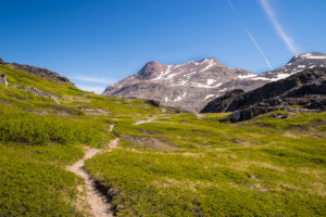 Hiking trail leading up through green vegetation to the plateau on the Lakes and Plateau Hike near Igaliku in South Greenland