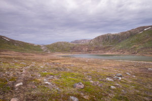 A small lake and arctic vegetation, looking up at the rise I was hiking to in my excursion off the Waterfall Hike near Igaliku in South Greenland