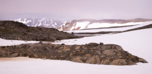 Snow drifts and very low cloud while hiking from Kulusuk to Isikajia, East Greenland