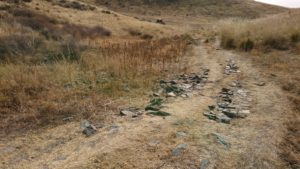 Stuck in the mud - Tamgaly Petroglyphs - Kazakhstan