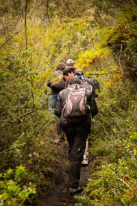 Hiking companions following the trail through a small forest on the way to Volcán Pasochoa near Quito, Ecuador