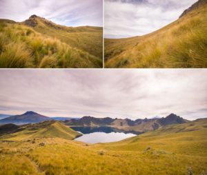 Paramo scenery while hiking to the summit of Fuya Fuya near Otavalo, Ecuador