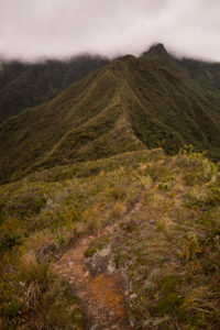 View along the narrow ridge of Los Miradores hike in Podocarpus National Park near Loja, Ecuador