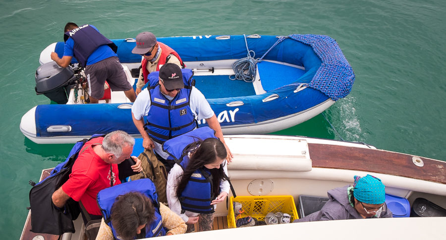 Fellow passengers climbing onto the AltaMar boat from the zodiac transfer