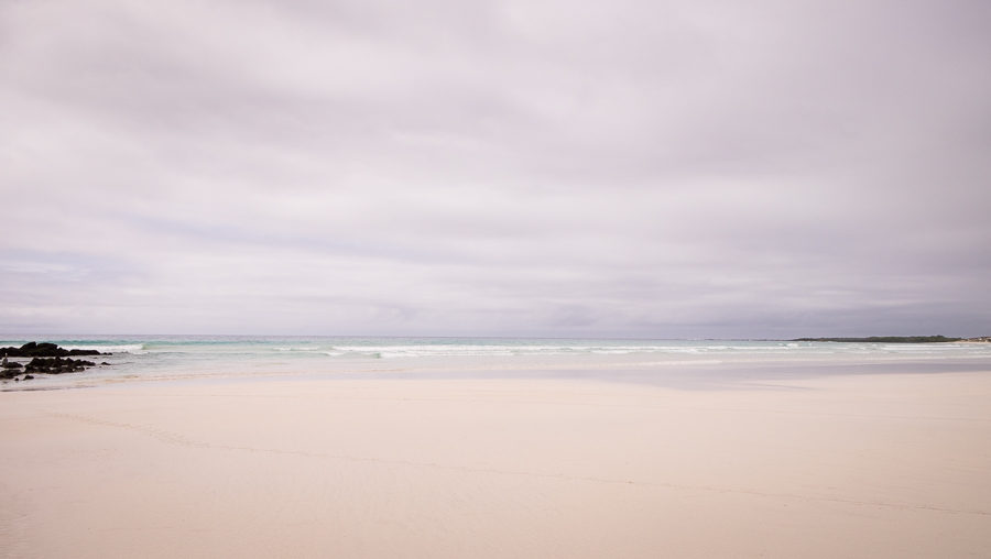 Tortuga Bay beach on Santa Cruz Island, Galapagos