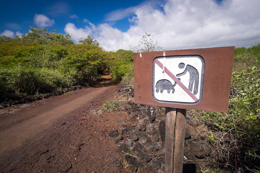 Sign by side of road explaining not to touch the tortoises