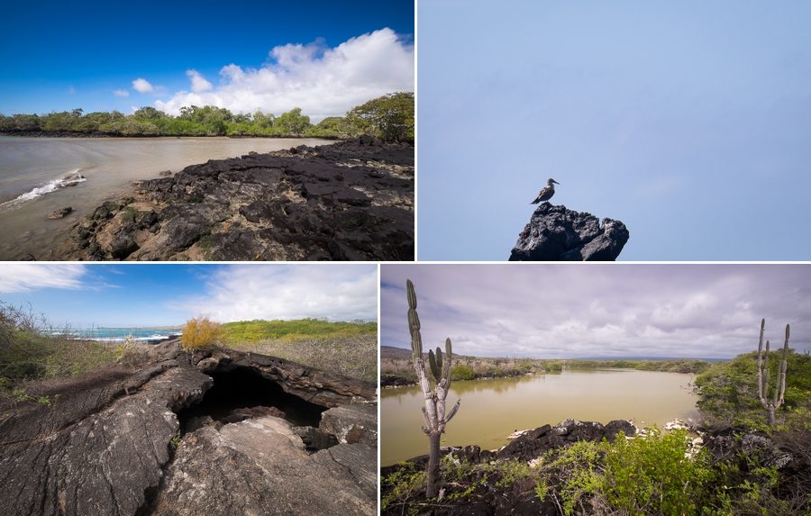 Some of the stopping off points along the road to the Muro de las Lágrimas