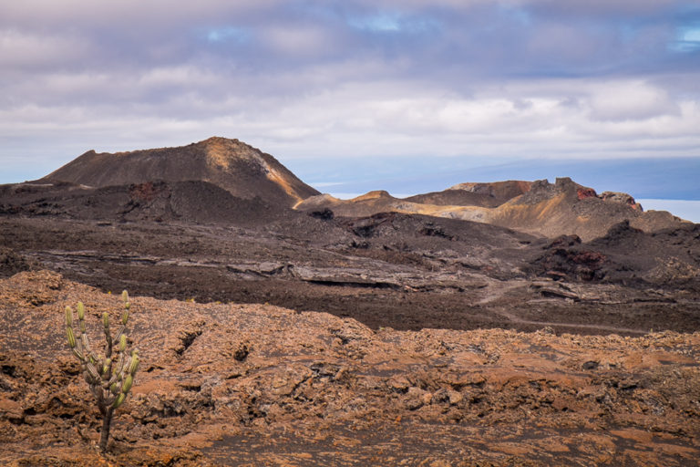 Approaching Volcán Chico - Sierra Negra hiking trail - Isla Isabela - Galapagos
