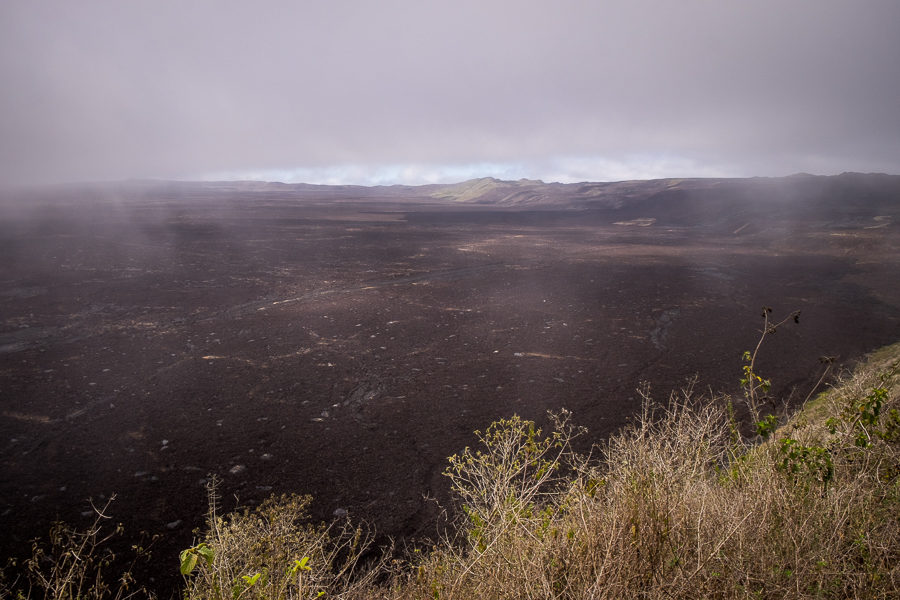 Fog lifting over the Sierra Negra caldera - Galapagos