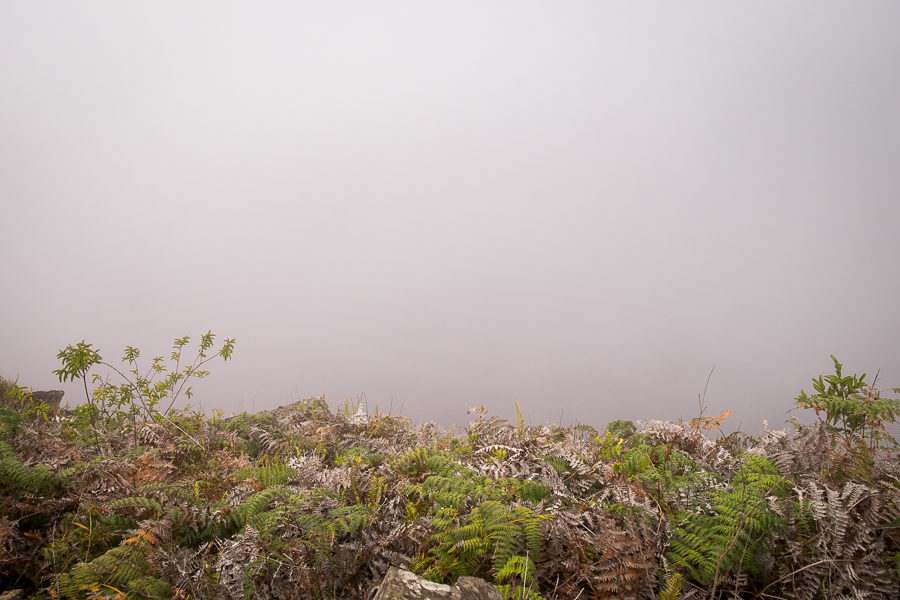 Caldera completely obscured by fog