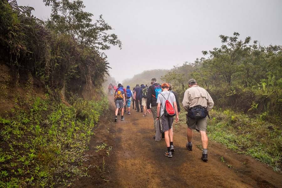 Fellow hikers heading into fog on the Sierra Negra trail on Isla Isabela - Galapagos