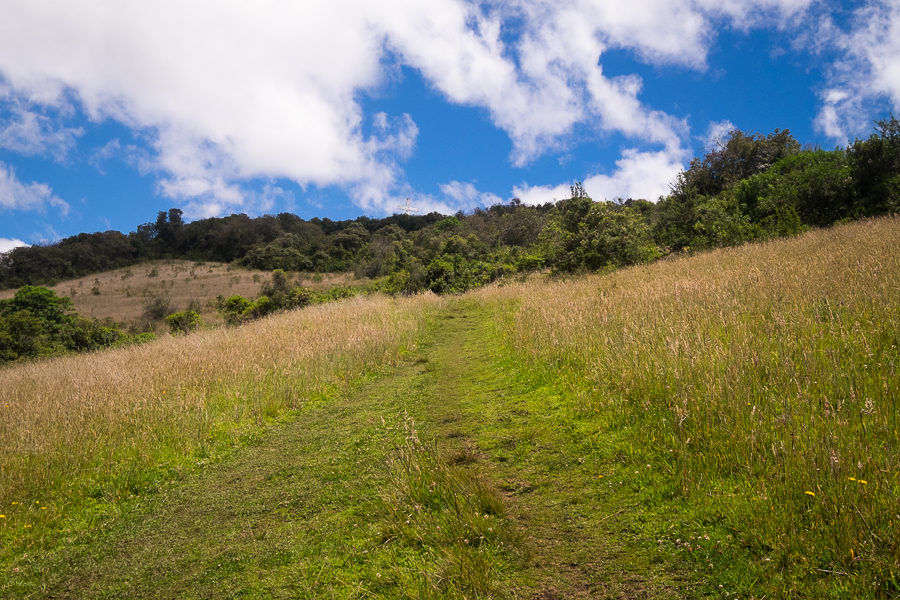 A less-steep part of the trail up Volcán Ilaló