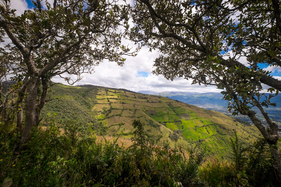 View from the The Cruz de Ilaló