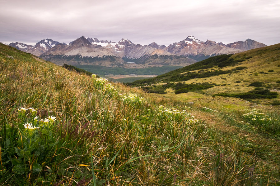 Green hills on the way to Laguna Turquesa - Ushuaia - Argentina