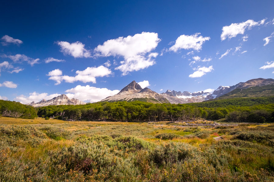 Peat bog - Laguna Esmeralda near Ushuaia, Argentina