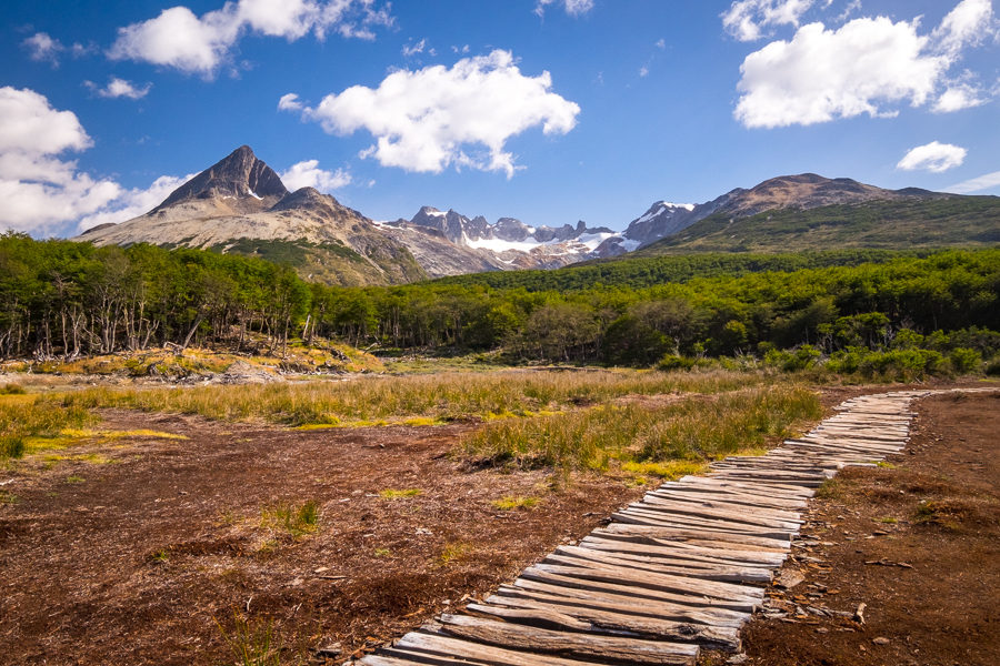 Log paths across the peat bog - Laguna Esmeralda near Ushuaia, Argentina