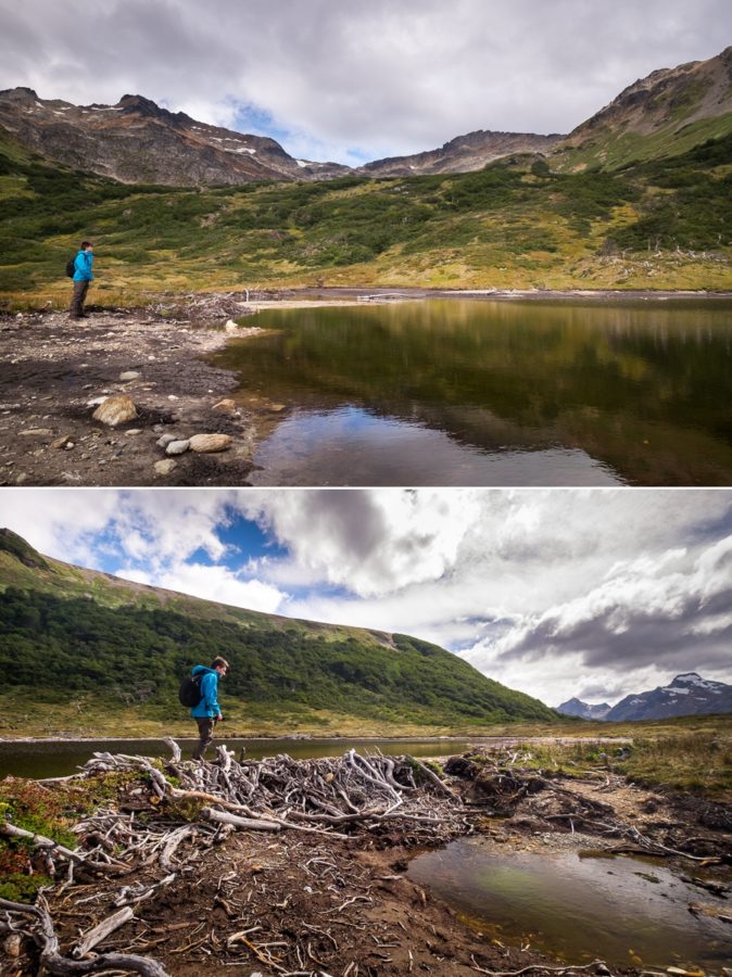 Beaver Dam - Valle de Olum and Laguna Bélgica - Ushuaia - Argentina