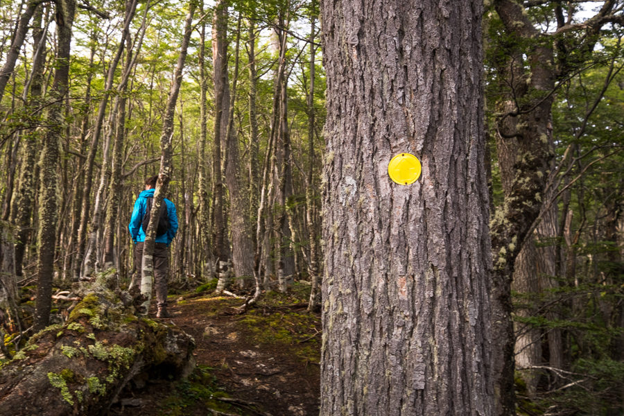 Yellow dots marked the start of the trail to the Valle de Olum and Laguna Bélgica - Ushuaia - Argentina