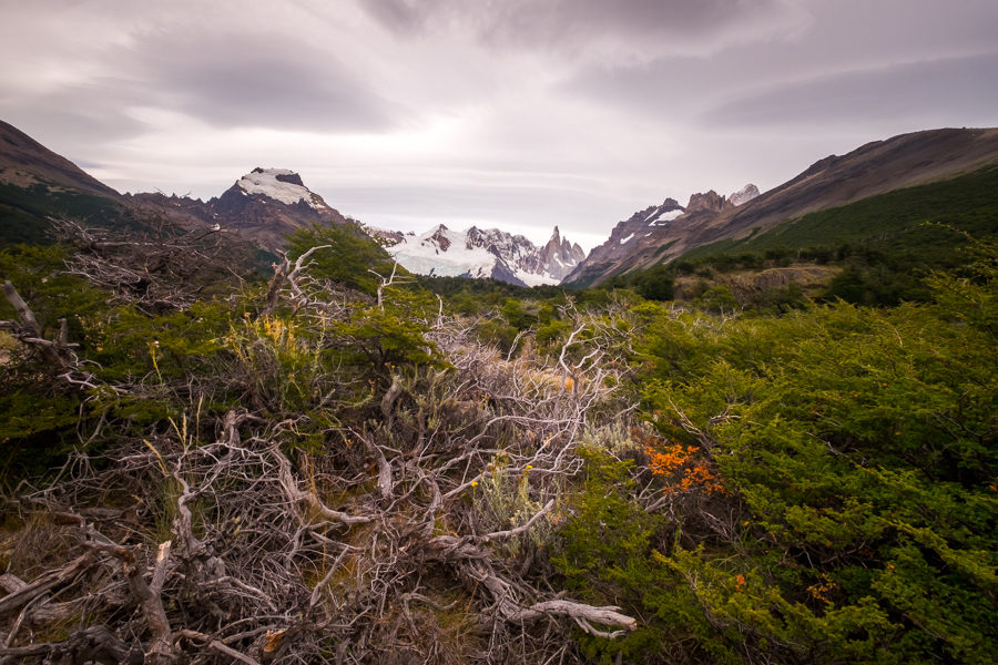 Views along the trail to Laguna Cerro Torre - El Chaltén - Argentina