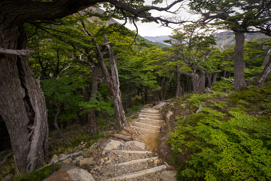 Alternate trail to the Laguna Cerro Torre - El Chaltén - Argentina